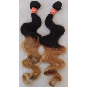 /441-2366-thickbox/2-bundles-brazilian-virgin-ombre-color-wefts.jpg