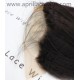 Italian yaki indian remy human hair 3 wefts and 1 lace frontal--IYF0301