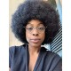 Indian virgin Human Hair Afro Curly full lace wig for Black Women BW2269