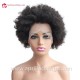 Indian virgin Human Hair Afro Curly full lace wig for Black Women BW2269