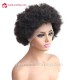 Indian virgin Human Hair Afro Curly full lace wig for Black Women BW2269