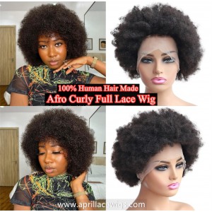 /775-7639-thickbox/indian-virgin-human-hair-afro-curly-full-lace-wig-for-black-women-bw2269.jpg