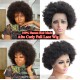 Indian virgin Human Hair Afro Curly full lace wig for Black Women BW2269