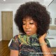 Indian virgin Human Hair Afro Curly full lace wig for Black Women BW2269