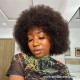 Indian virgin Human Hair Afro Curly full lace wig for Black Women BW2269