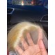 Virgin Human Hair 613 blonde Glueless 13x4 lace front wig preplucked hairline LF0613