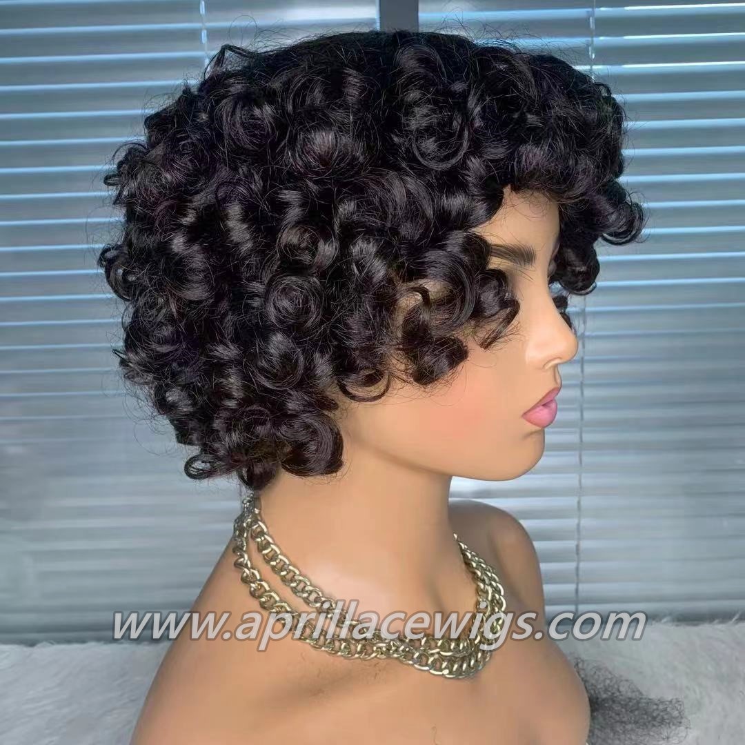 short curly human hair wig